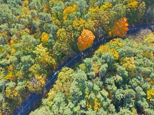 Aerial view on curved hidden asphalt road in mixed forest during autumn