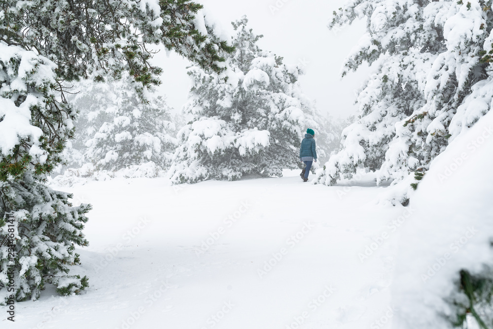 Mujer joven caminado en un bosque de pinos nevado. Hermoso día de invierno.