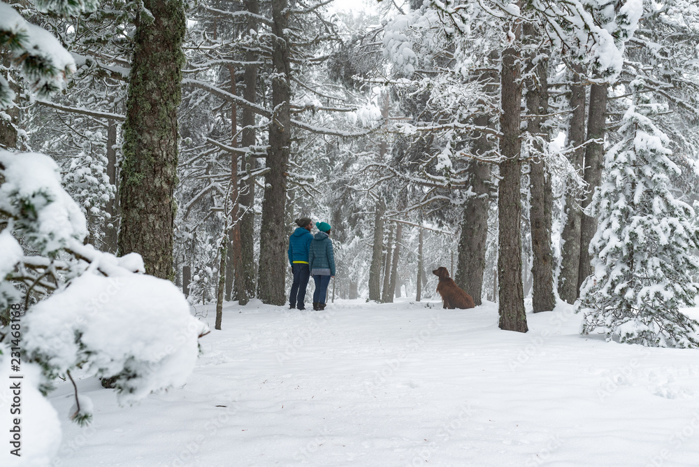  Pareja joven caminando con su perro en un parque cubierto de nieve. Disfrutando de un blanco día de invierno.