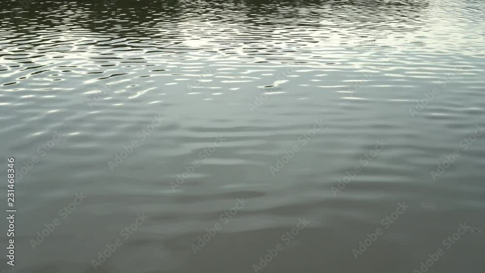 Water ripples surface in river. Water ripples surface in river.