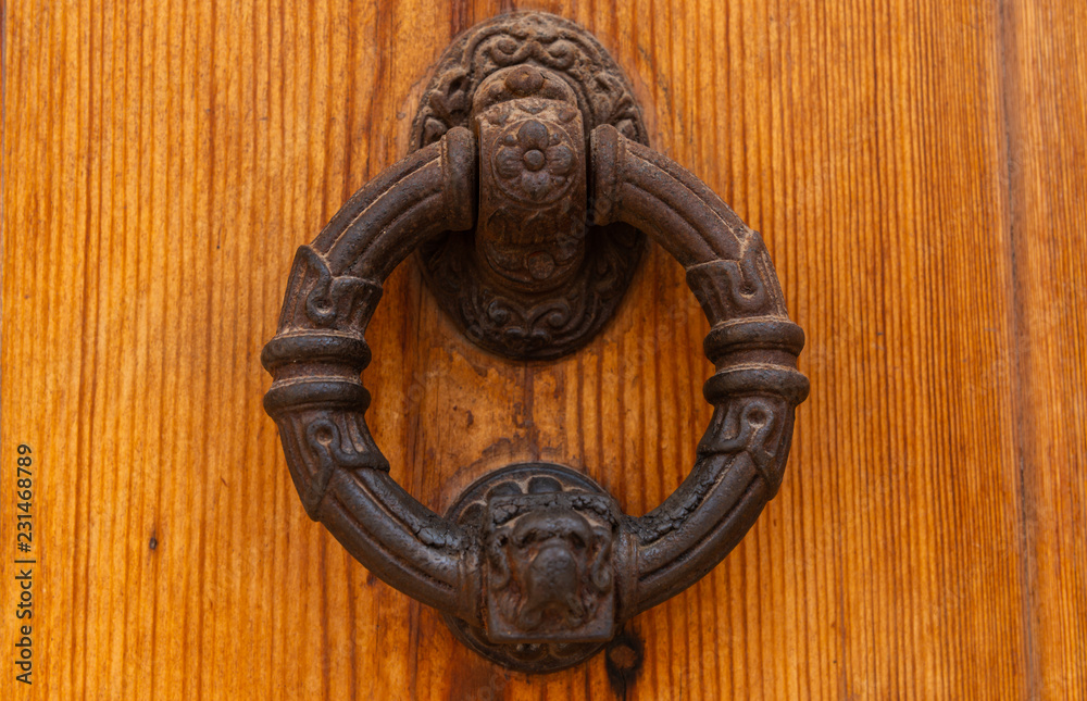 Door with brass knocker in the shape of a decor, beautiful entrance to the house