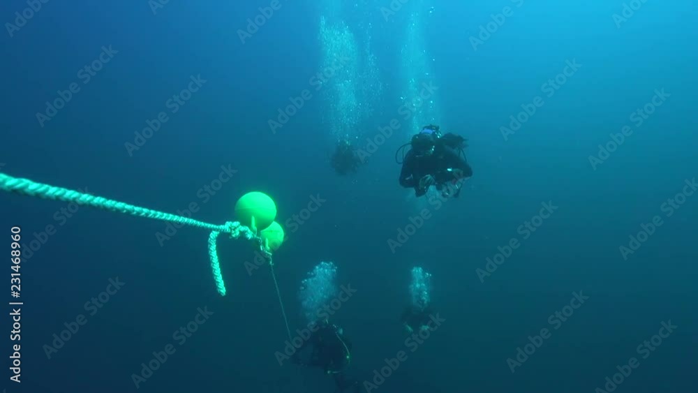 custom made wallpaper toronto digitalDekostop