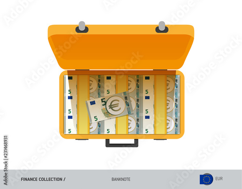 Yellow case with 5 Euro Banknotes. Flat style vector illustration. Salary payout or corruption concept.