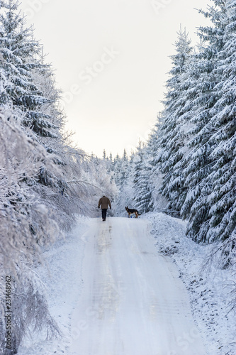 Forest winter road with a man walking his German shepherd dog