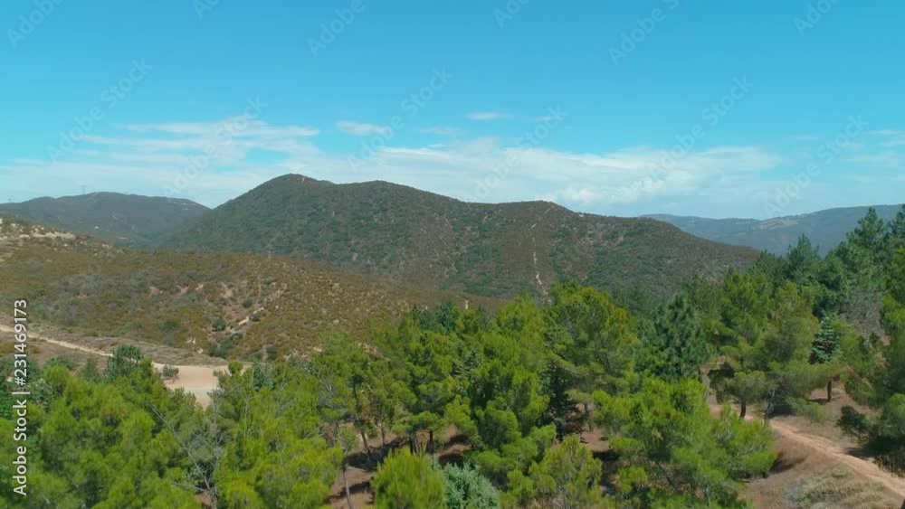 California Gorgeous Pine Forest Aerial 76 California Gorgeous Pine Forest Aerial 76