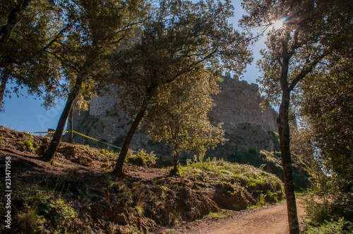 Castell de Montsoriu