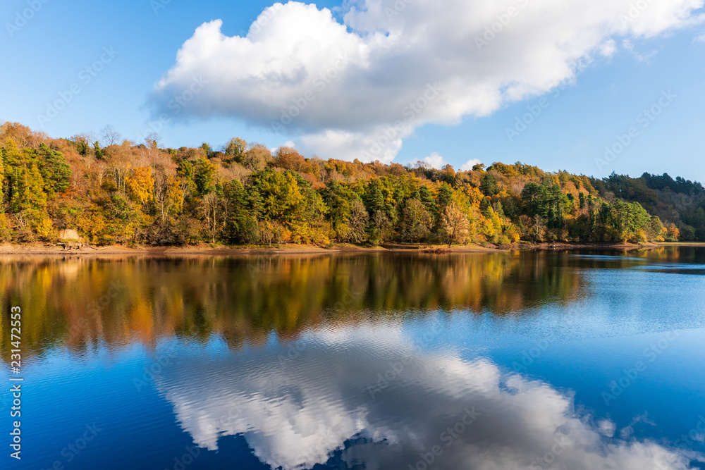 Autumn landscape with colorful trees and blue sky with white fluffy clouds reflected in the water. Fall scene in County Wicklow, Ireland.