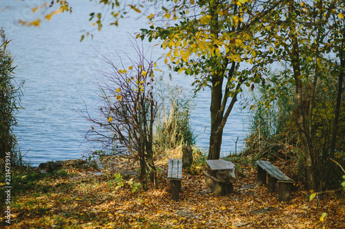 Colorful leaves on trees along lake in autumn