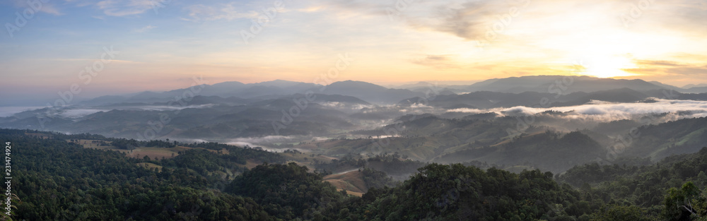 Fototapeta premium Beautiful view of sunrise above the green valley. view from the top view of mountains. Amazing nature landscape.