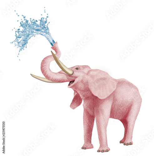 éléphant, rose, jet d'eau, isolé, mammifère, blanc, faune, sauvage, grand, nature, pachyderme, safari, jouet, défense, 