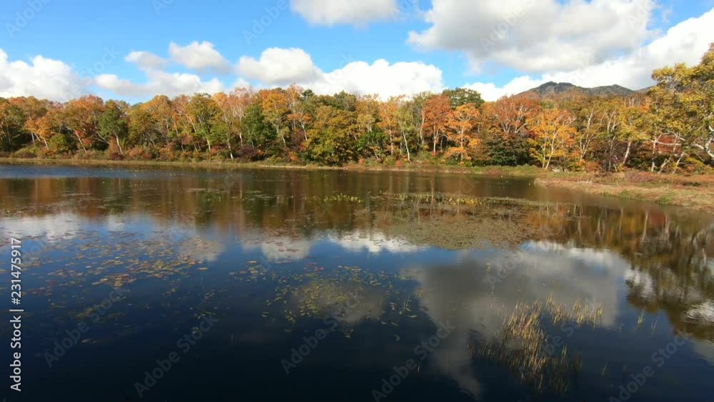 志賀高原 蓮池の紅葉 志賀高原 蓮池の紅葉
