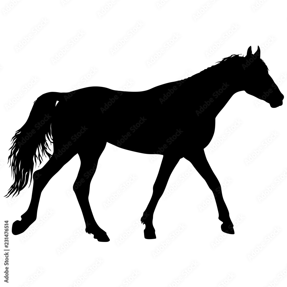 Obraz premium Animal silhouette of black mustang horse illustration