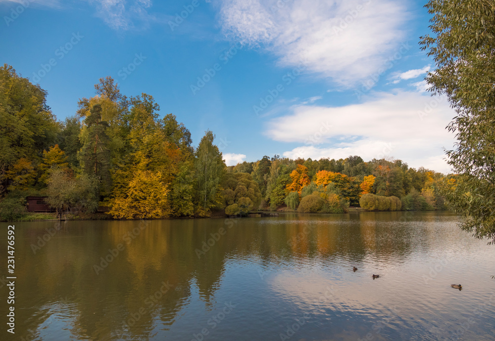 Autumn foliage with water reflection natural landscape