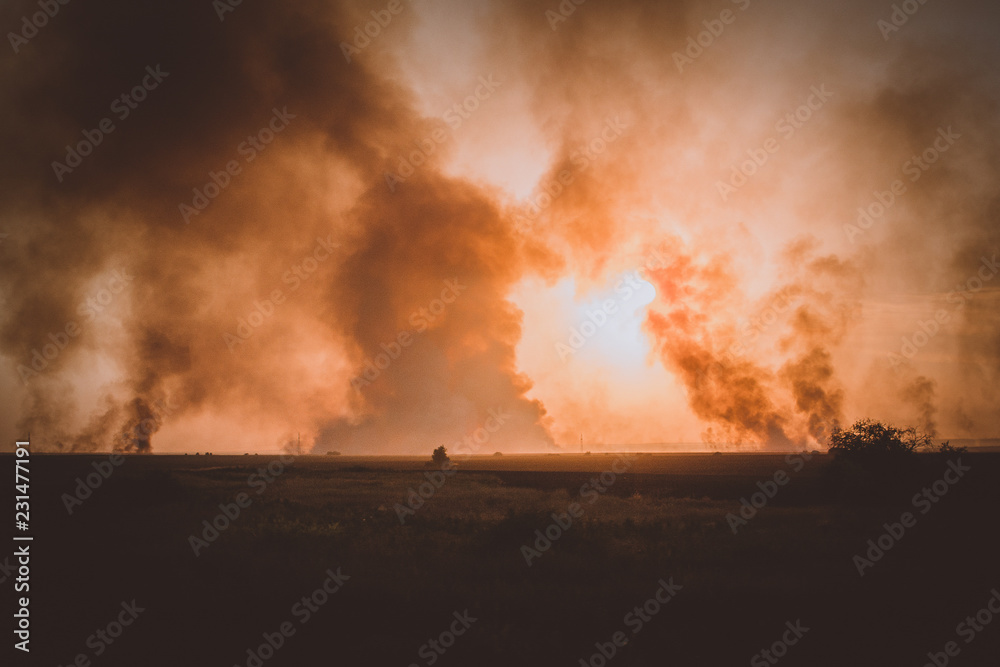 grass burns in a meadow