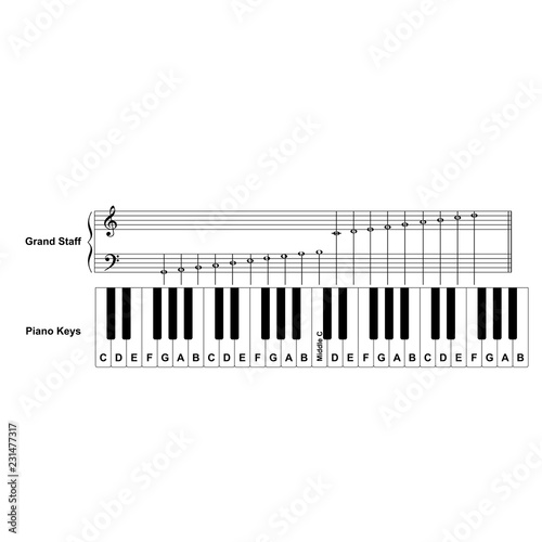 Piano keyboard diagram - piano keyboard layout    on white background vector illustration
