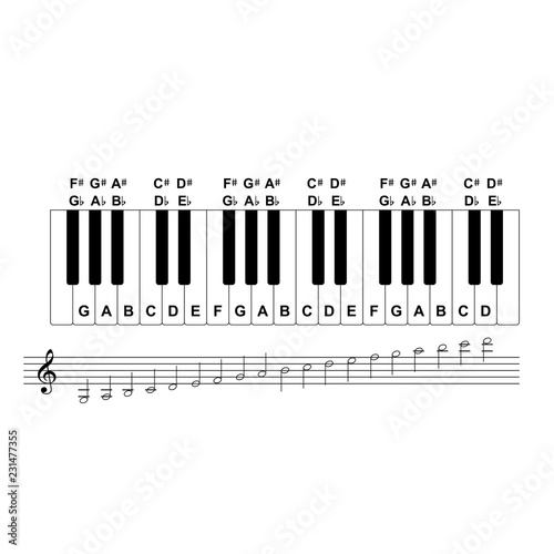 Piano keyboard diagram - piano keyboard layout    on white background vector illustration