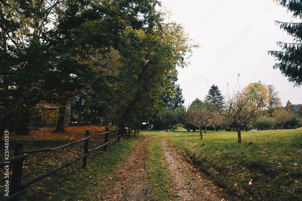 Naklejka premium Autumn Landscape in Catalonia