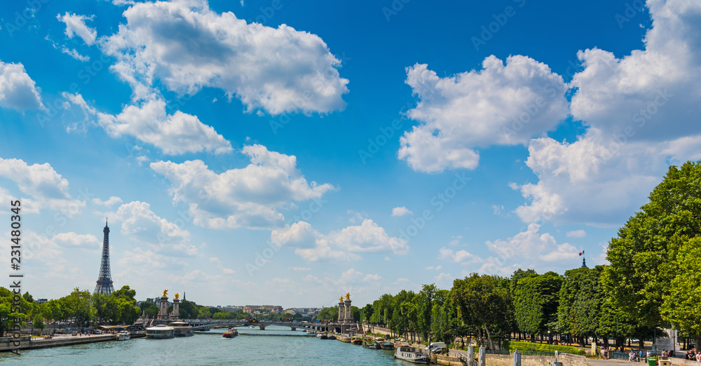 Seine river with Eiffel tower on the background