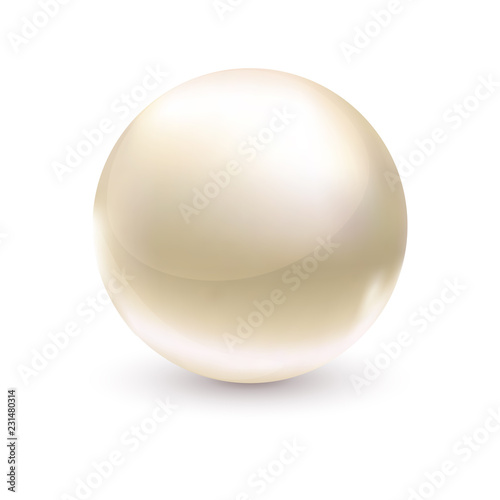 Vector Realistic Pearl symbol isolated on a white background. Modern glossy sphere or circle lens