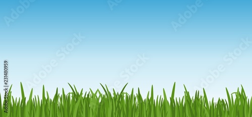 Fototapeta Naklejka Na Ścianę i Meble -  Landscape with dreen grass against the blue sky background. grass leaves and lawn at the foreground. Vector illustartion