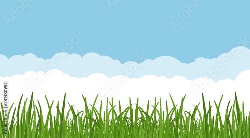 Landscape with dreen grass against the blue sky and clouds background. grass leaves and lawn at the foreground. Vector illustartion