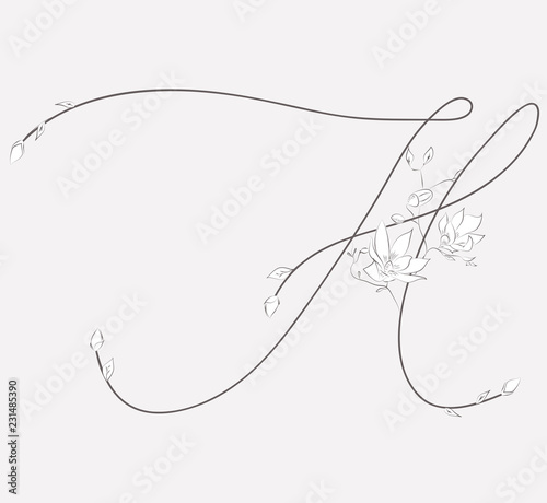 Vector Hand Drawn floral H monogram and logo