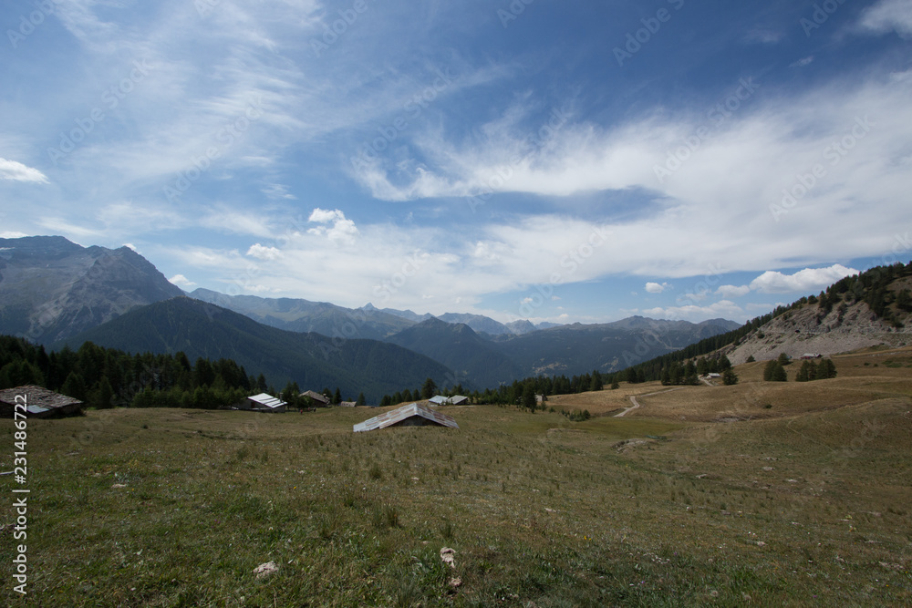 Alpine mountain houses, meadows and cloudy sky