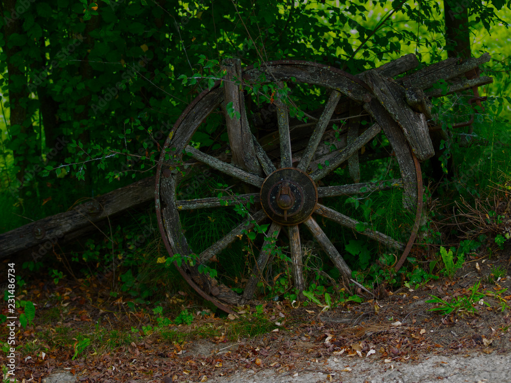 Old wheel