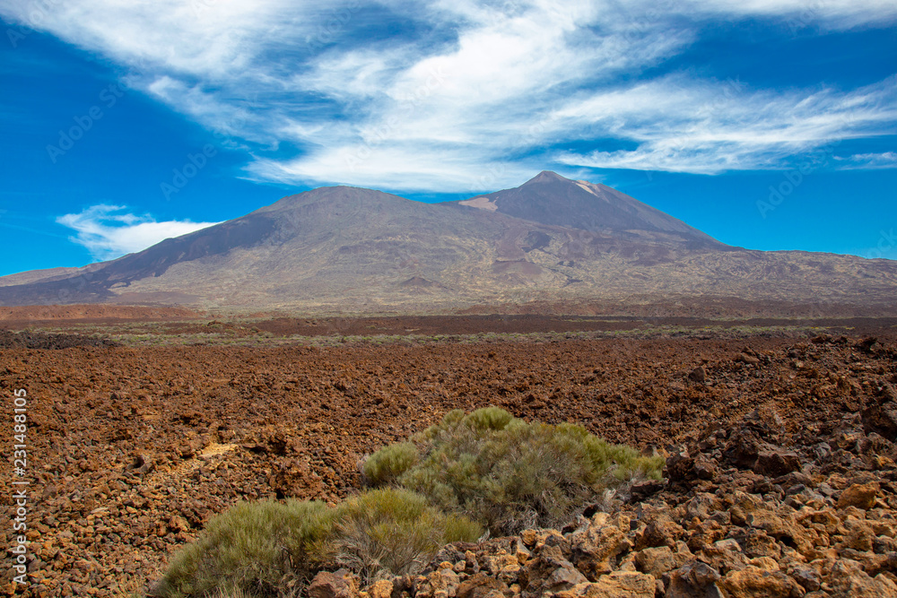 View of beautiful volcano Teide in summer