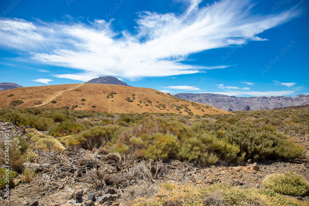 National park del Teide, view of magical park