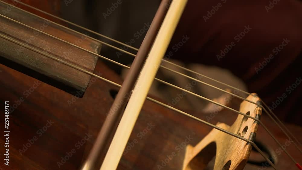 musician playing on violancello in the orchestra