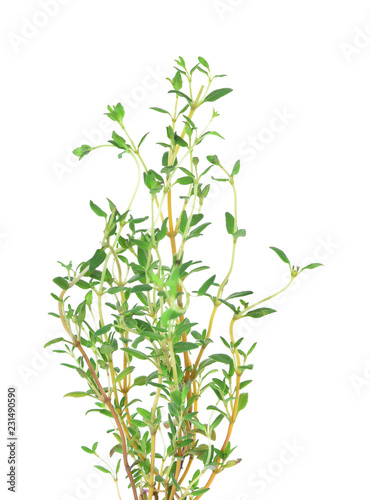 thyme on white background © Chaaim