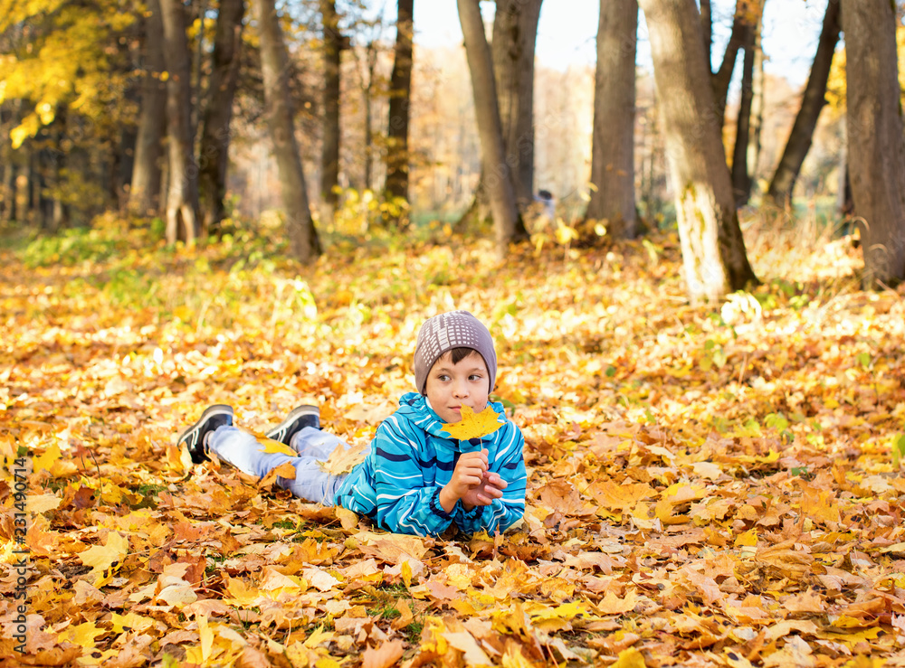Child boy in autumn park with foliage. He lies on the yellow leaves. Child boy in autumn park with foliage. He lies on the yellow leaves.