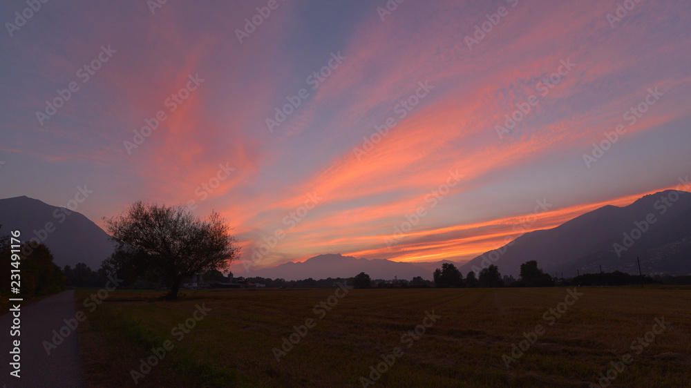 Magico tramonto con nuvole rosa e violette in aperta campgna con un albero in sottofondo