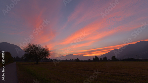 Magico tramonto con nuvole rosa e violette in aperta campgna con un albero in sottofondo