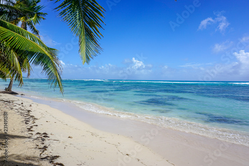 caribbean paradise beach, blue sky and cristal water, Guadeloupe