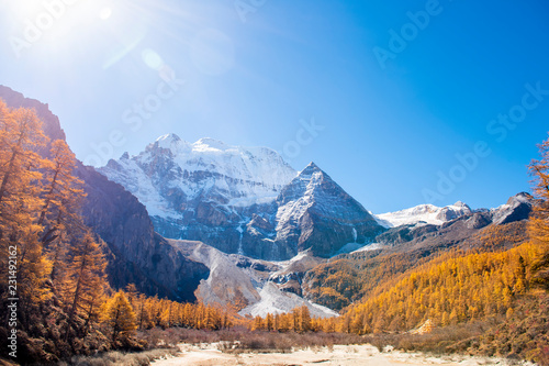 Beautiful view snow peak with autumn leaves in yading nature reserve, Sichuan, China.