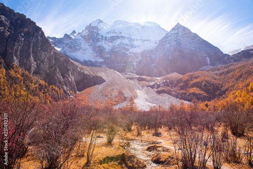 Beautiful view snow peak with autumn leaves in yading nature reserve, Sichuan, China.
