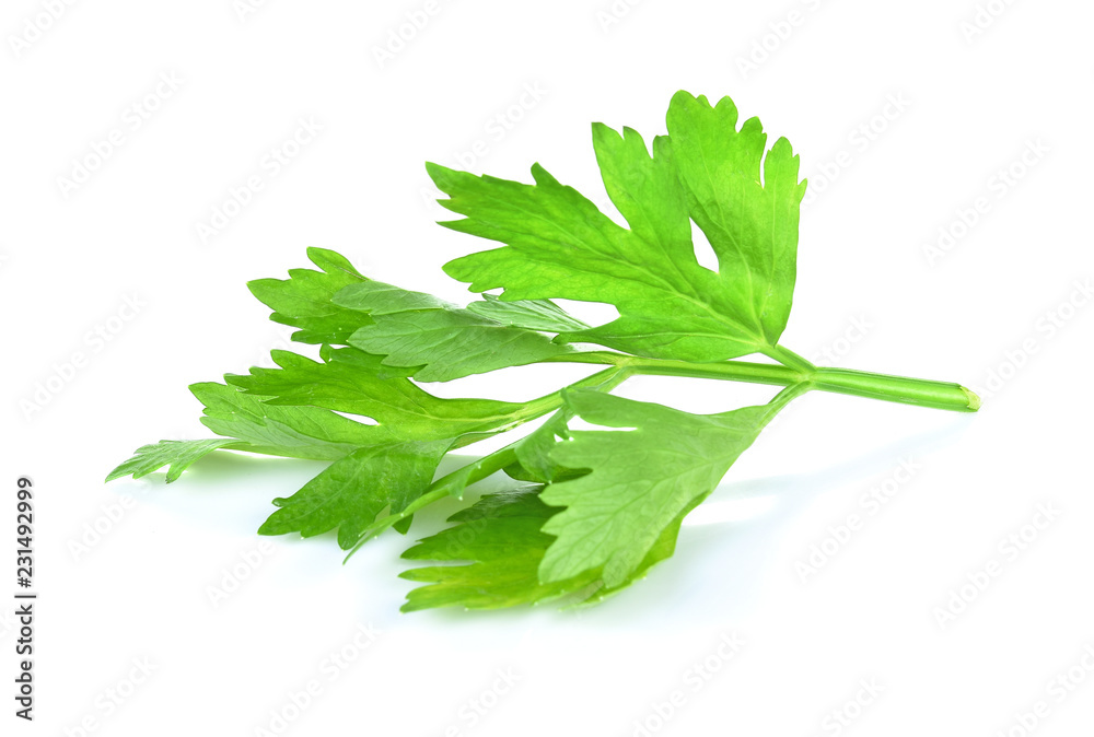Obraz premium celery isolated on white background