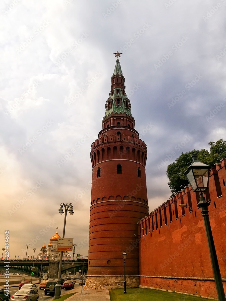 Fototapeta premium dav