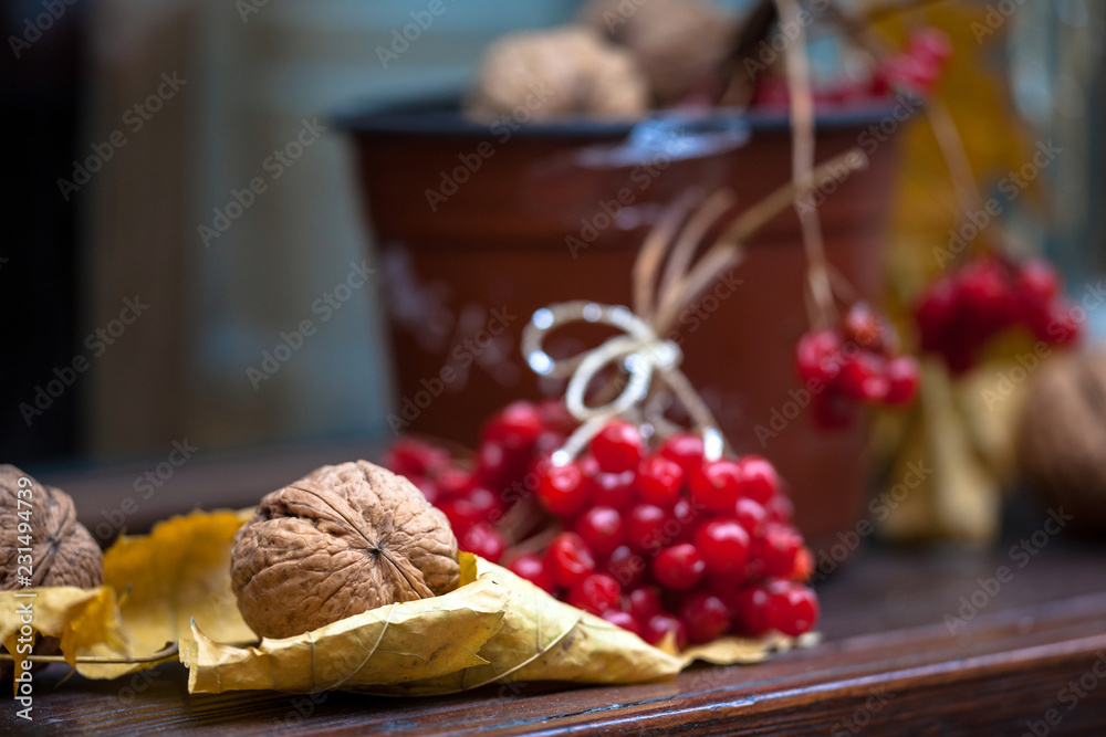 Autumn composition with nuts, guelder rose, leaves. Viburnum opulus. Selective focus.