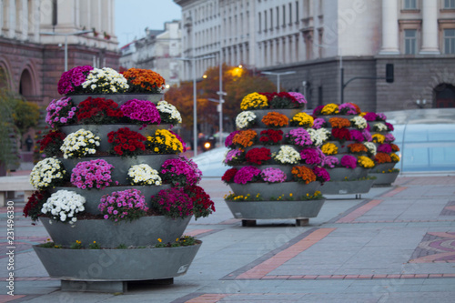 Parliament of Sofia, Bulgaria with colourful flowers