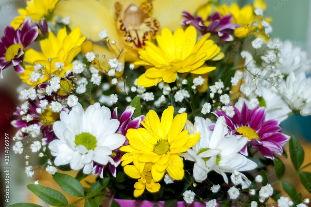 Fototapeta premium Colorful bouquet of flowers
