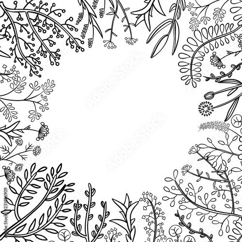 Decorative frame of hand-drawn twigs with leaves, berries and flowers. Vector graphics. 