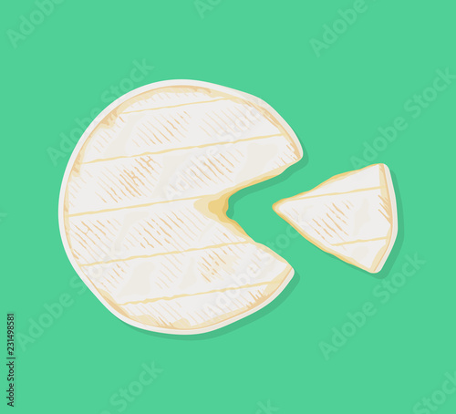Cylinder of fresh creamy camembert de Normandie cheese with a cut out piece, top view. Traditional french dairy product. Vector hand drawn illustration. 