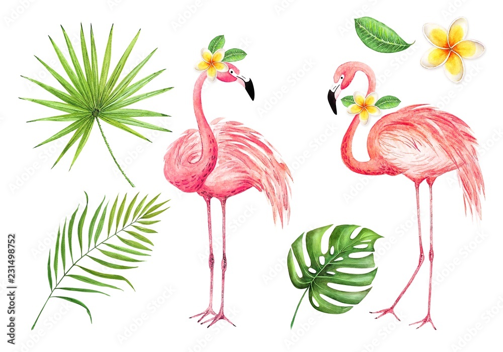 set of watercolor drawings of pink flamingos and palm leaves on a white  background Stock Illustration | Adobe Stock
