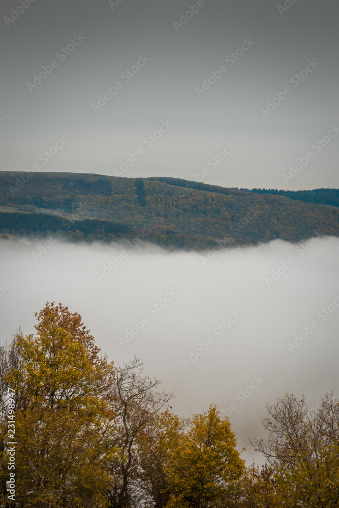 Eifellandschaft im Nebel