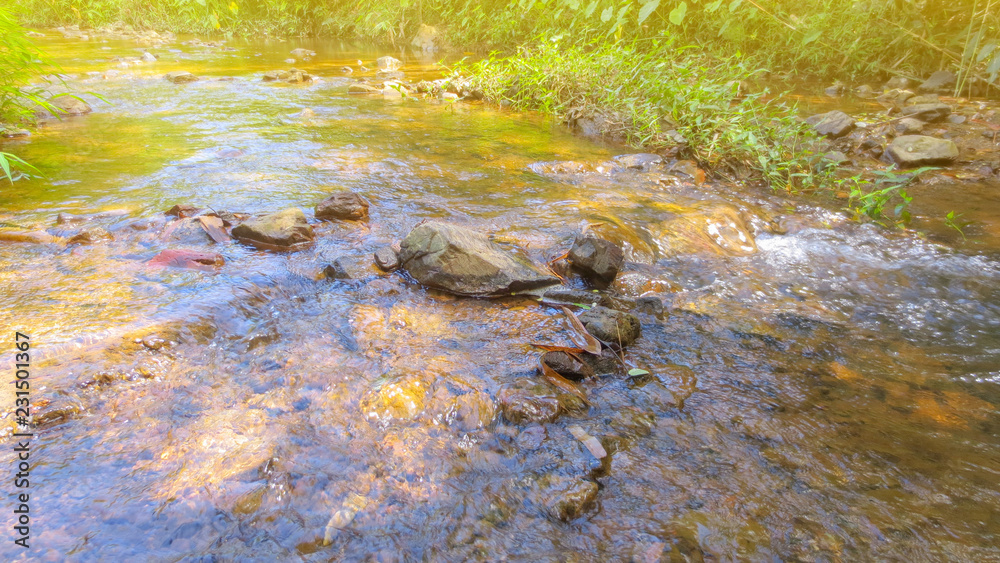 water of the stream in the natural park at Phatthalung, Thailand water of the stream in the natural park at Phatthalung, Thailand
