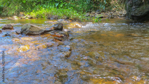 water of the stream in the natural park at Phatthalung  Thailand