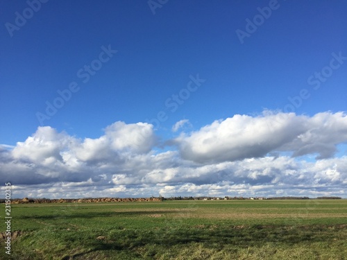 French countryside with bare trees and green meadow